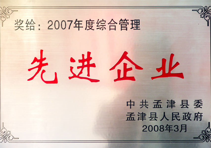 2007年度綜合管理先進企業